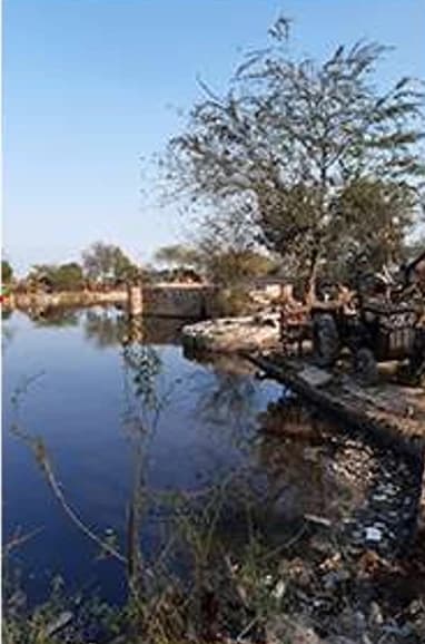 Water and waste at the edge of a Jahanpur village pond